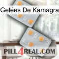 Gelées De Kamagra 25